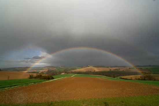 Rainbow