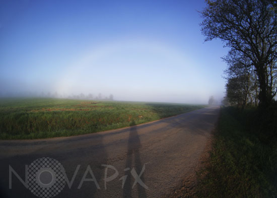 Fogbow