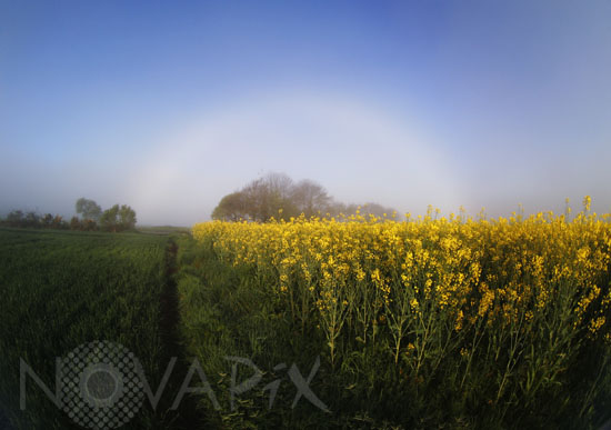 Arc de brume