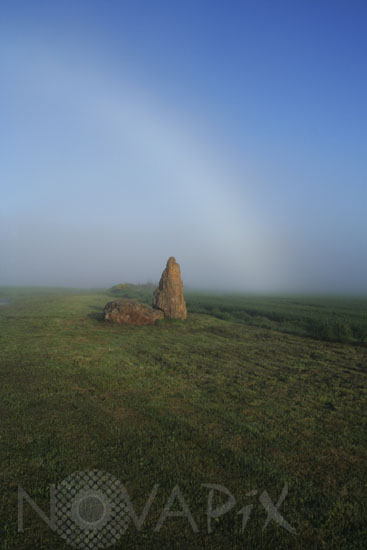Fogbow