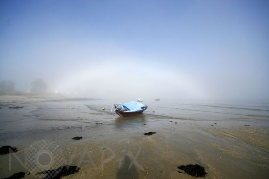 Arc de brume