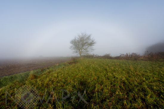 Arc de brume