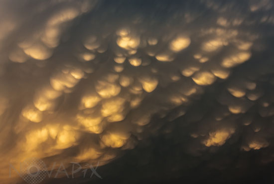 Cumulonimbus mammatus