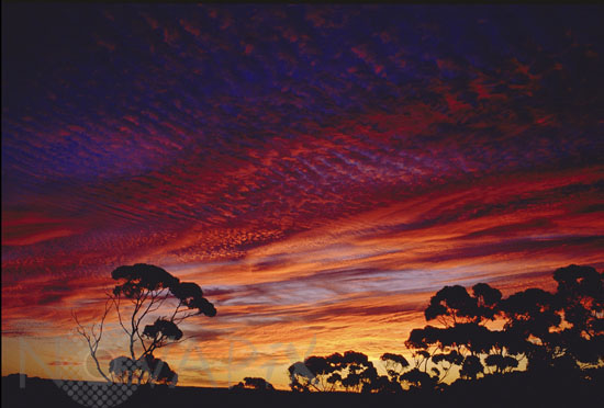 Clouds and sunset