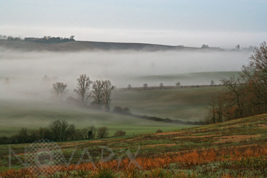 Hazy morning