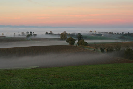 Hazy morning