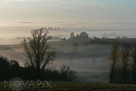 Hazy morning