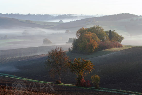 Hazy morning