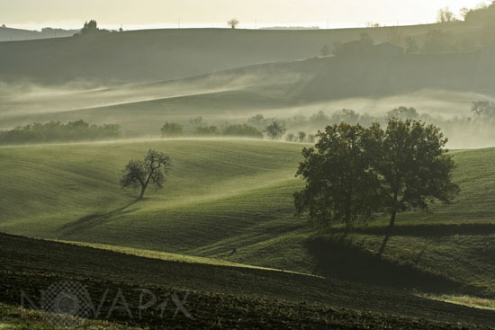 Hazy morning