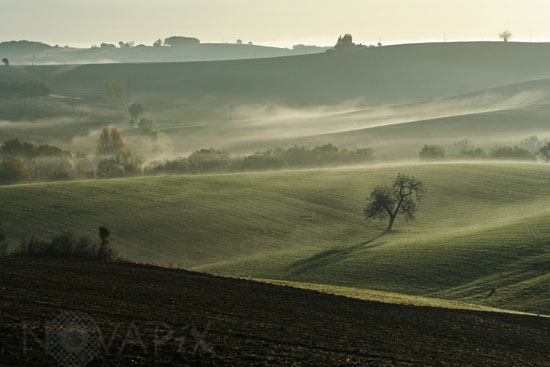 Hazy morning