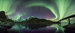 Aurore boréale - Lofoten - Norvège