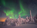 Aurore boréale -Finlande - 12/2005