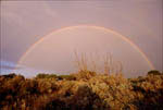 Arc-en-ciel