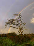 Arc-en-ciel