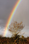 Arc-en-ciel