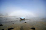 Arc de brume