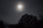Couronne colorée autour de la Lune