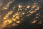 Cumulonimbus mammatus