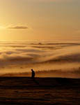 Brume matinale
