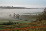 Brume matinale