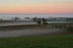 Brume matinale
