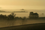 Brume matinale