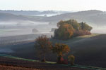 Brume matinale
