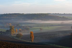 Brume matinale