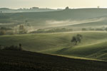 Brume matinale