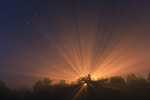 Rayons de lumière dans le brouillard