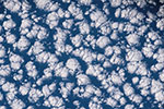 Terre: nuages sur le Pacifique