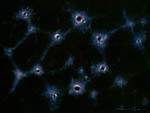 Des trous noirs partout dans l'univers