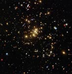 Amas de galaxies Cl0024+17