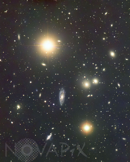 The Hydra cluster of galaxies (Abell 1060)