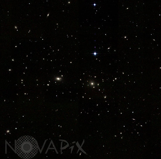 Amas de galaxies Abell 1656 -Amas de Coma