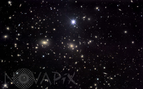 Amas de galaxies Abell 1656 -Amas de Coma
