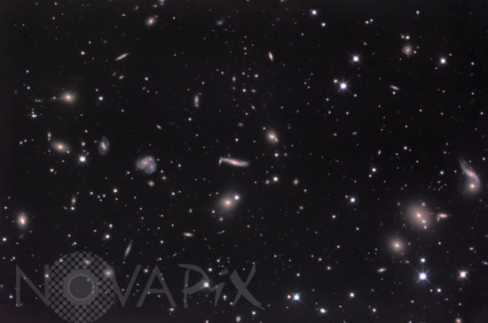 Abell 2151 the Hercules cluster