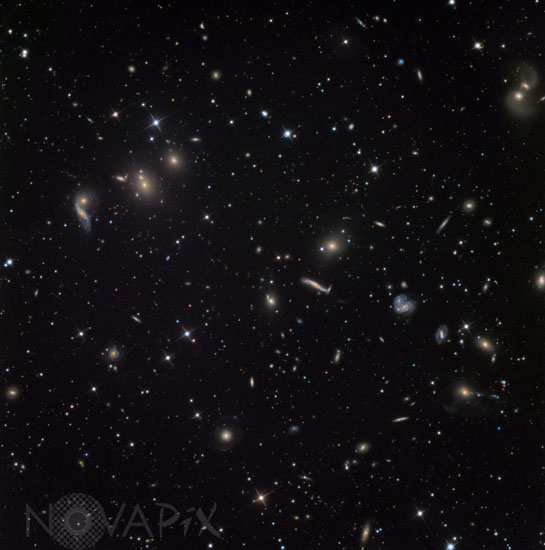 Abell 2151 the Hercules cluster