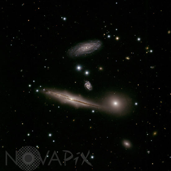 Hickson Compact Group 87 in Capricornus
