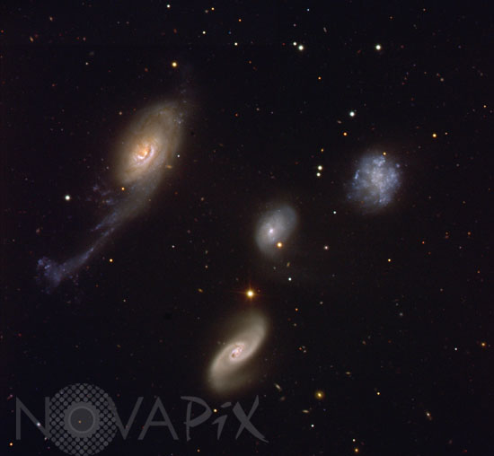 Le Quartet de Robert dans le Phénix
