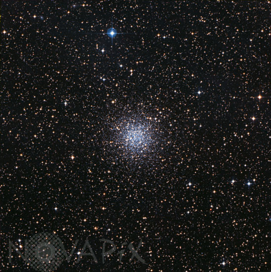 Amas globulaire NGC 6101 dans l'Oiseau de Paradis