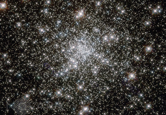 Stars in globular cluster NGC 6752