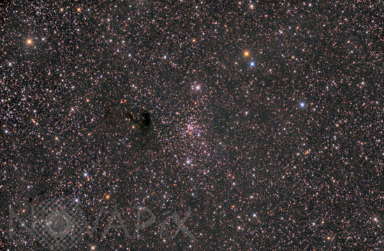 Open cluster NGC 559