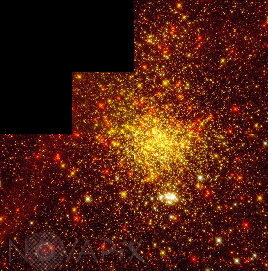 Amas d'étoiles NGC 1850 dans la Dorade