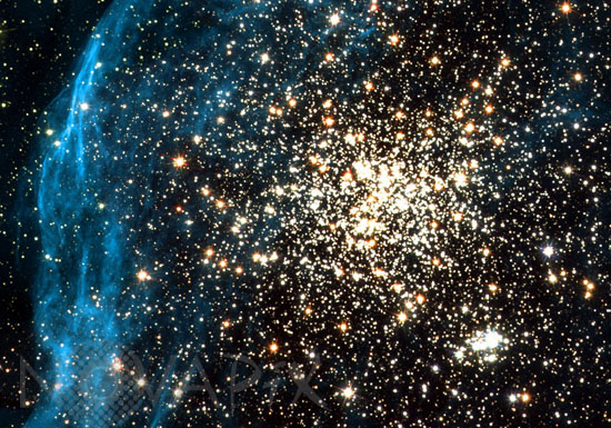 Amas d'étoiles NGC 1850 dans la Dorade