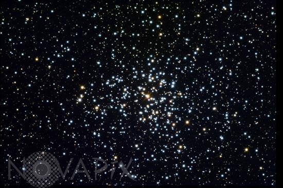 Open cluster M37 in Auriga