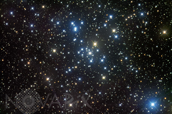 Open cluster M41 in Canis Major