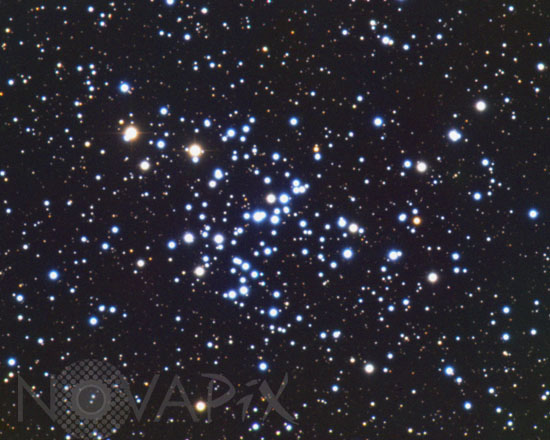 Open cluster M93 (NGC 2447) in Puppis
