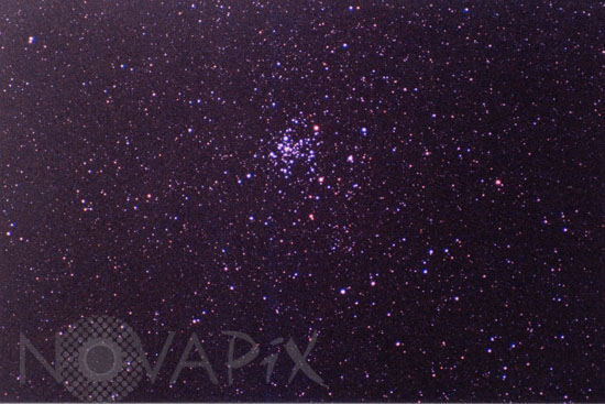 Amas ouvert NGC 2516 (C96) dans la Carène