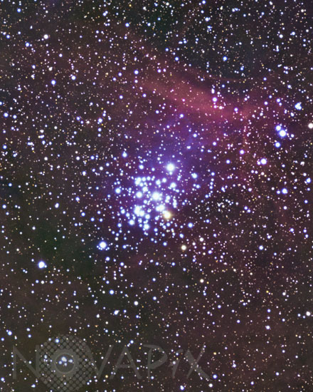 Amas ouvert NGC 3293 dans la Carene